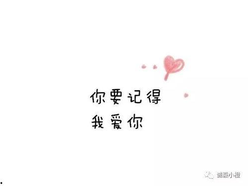 我走了你才说爱我,迟来的告白